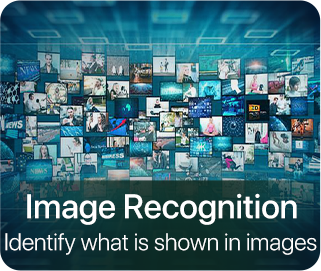 Image Recognition